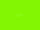 Markeringsverf Krijtspray Fluor GROEN 5-15 dagen 12 x 500 ml