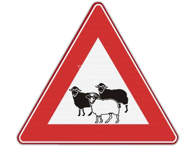 Verkeersbord Schapen